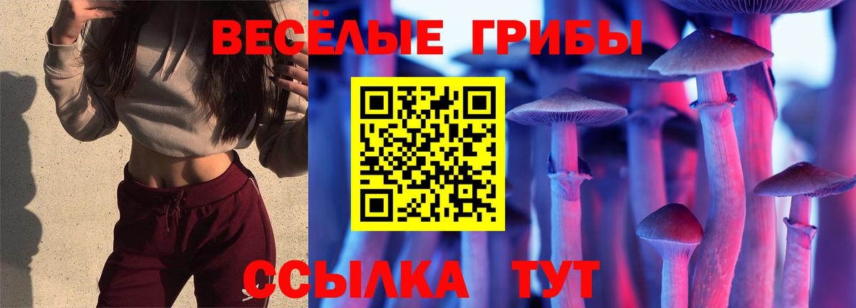 Курганинск  Галлюциногенные грибы Psilocybine cubensis  Вход с VPN  Псилоцибиновые грибы мухоморы 